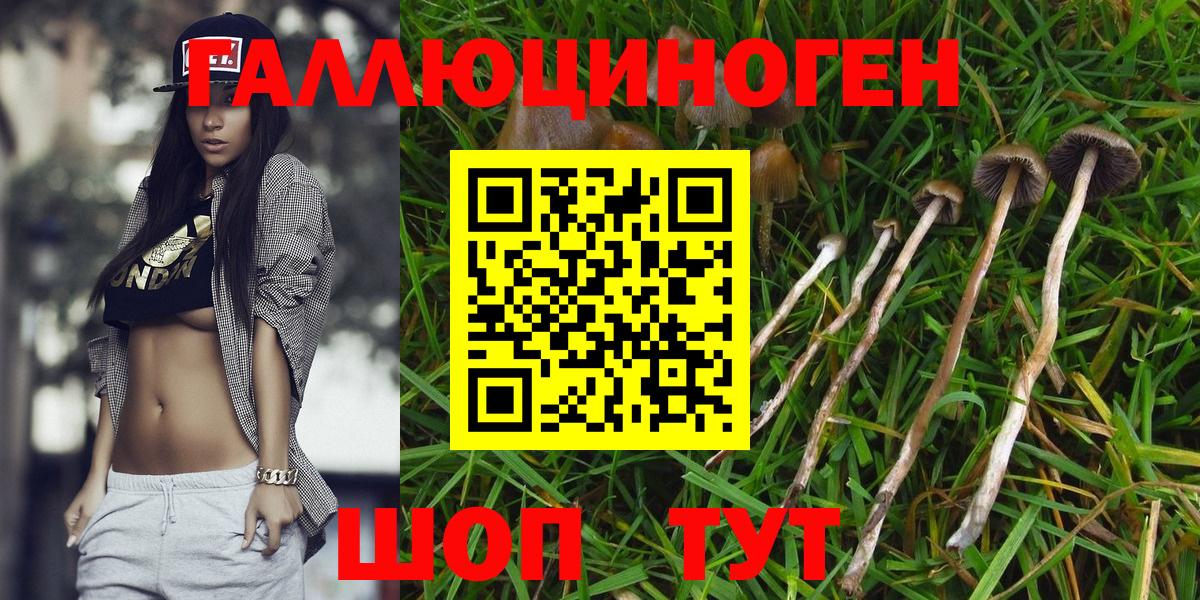 Псилоцибиновые грибы GOLDEN TEACHER  Галлюциногенные грибы GOLDEN TEACHER  Вход с VPN  Качканар 